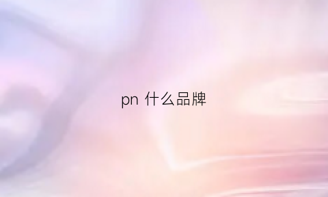 pn 什么品牌